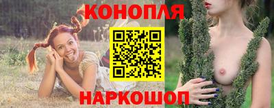таблы Новозыбков