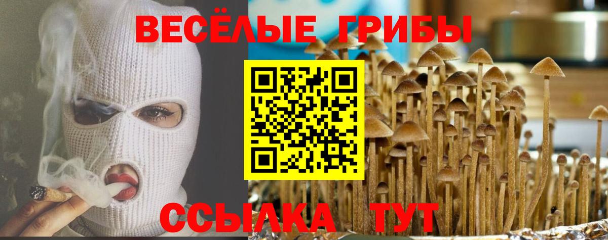 Галлюциногенные грибы Magic Shrooms Рославль