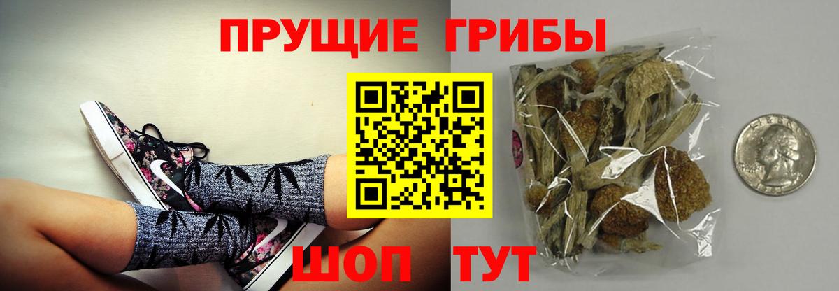 Галлюциногенные грибы ЛСД  Вход с VPN  Рославль 